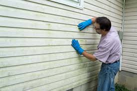 Best Fiber Cement Siding Installation  in Carefree, AZ